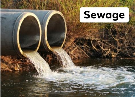 sewage in tagalog meaning|sewerage .